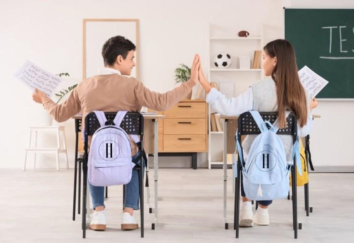 Rezultatele la Simularea pentru Examen Evaluare Nationala 2026
